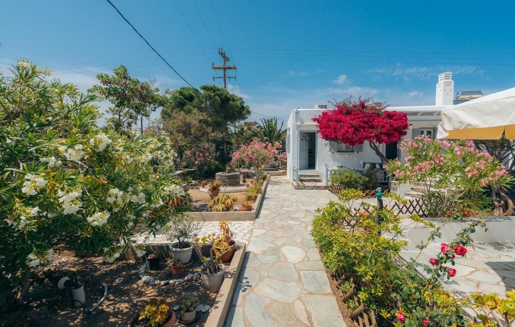 Nostos Sifnos — 5