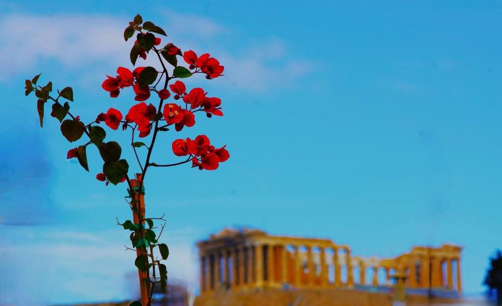Absolute Athens Acropolis View — 1