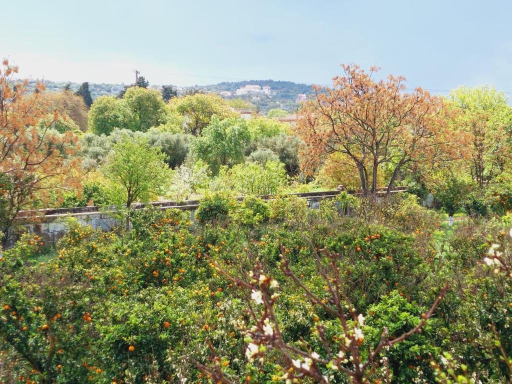 Bella Cisterna — 5
