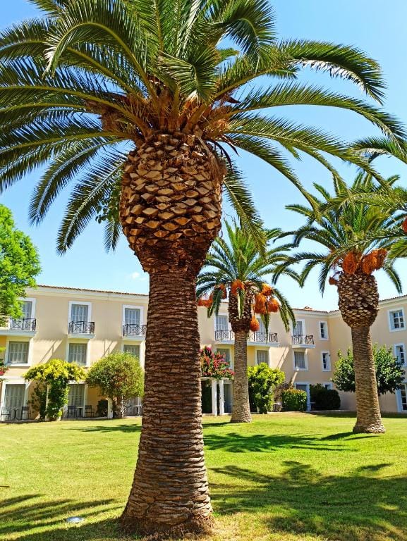Amalia Hotel Nafplio — 4