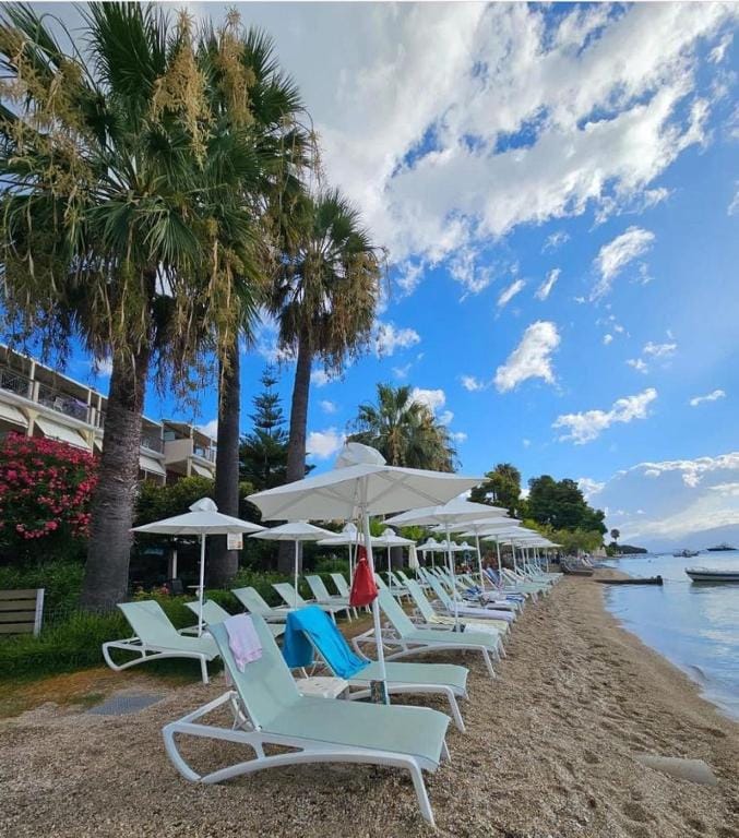 Palm Trees Hotel — 5