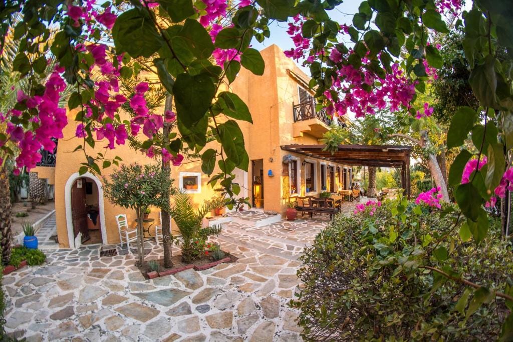 Vagia Traditional, Aegina Island — 1