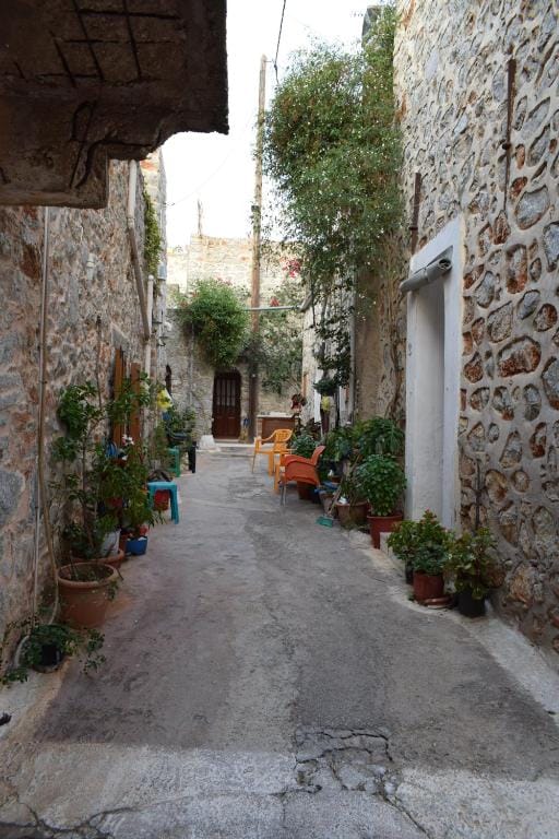 Petrino Vessa — 3
